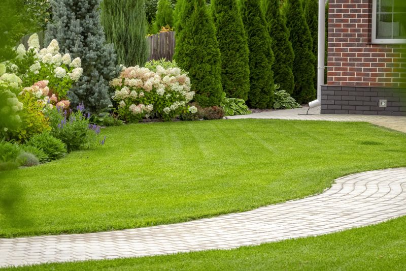 Elegant Paver Path
